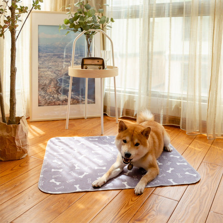 Washable Training Mat