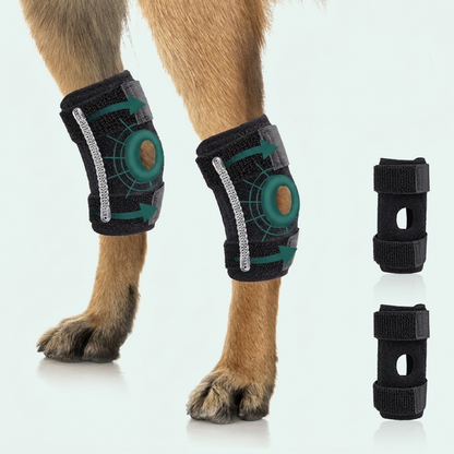 Rear Leg Hock Braces